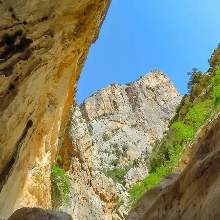 Διαμέρισμα Ortensia Loceri