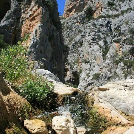 Ortensia