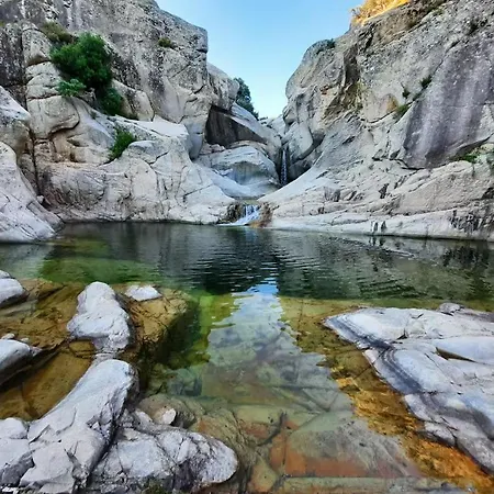 Διαμέρισμα Ortensia Loceri
